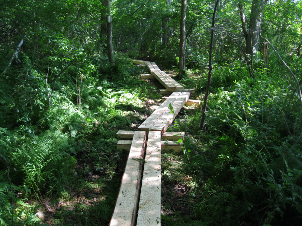 Finished Bridging at McDonald Preserve
