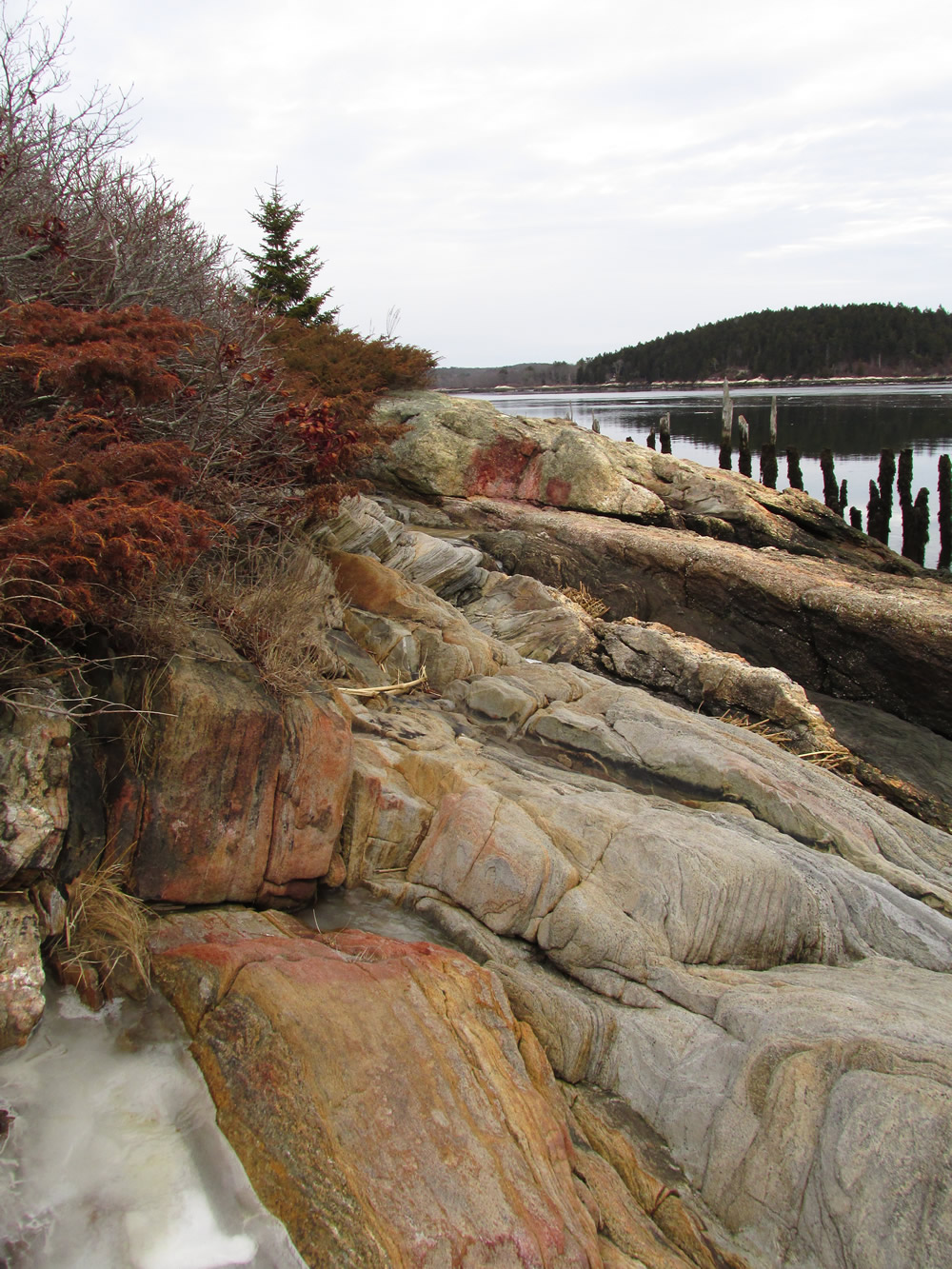 Colored Rocks, Wilbur Preserve