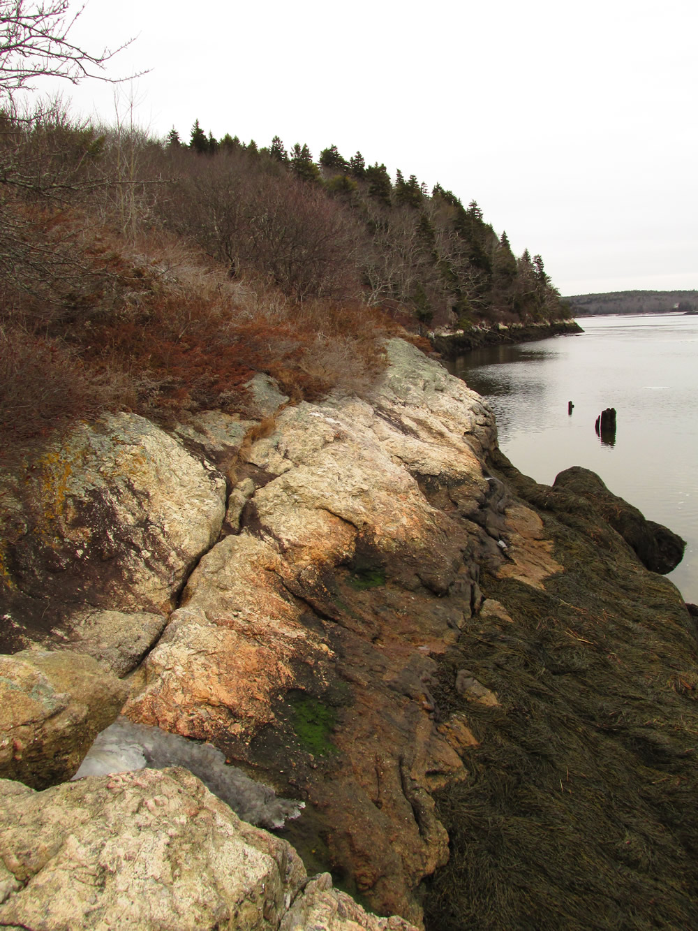 Shore at Wilbur Preserve