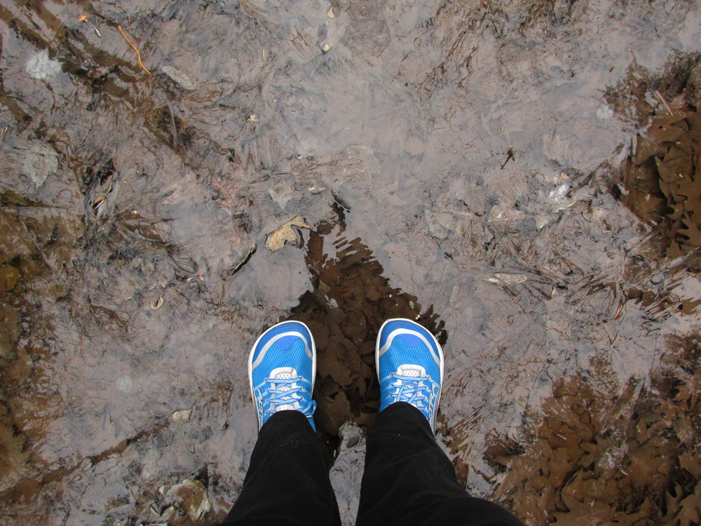 Standing On Ice, Spirit Pond Preserve