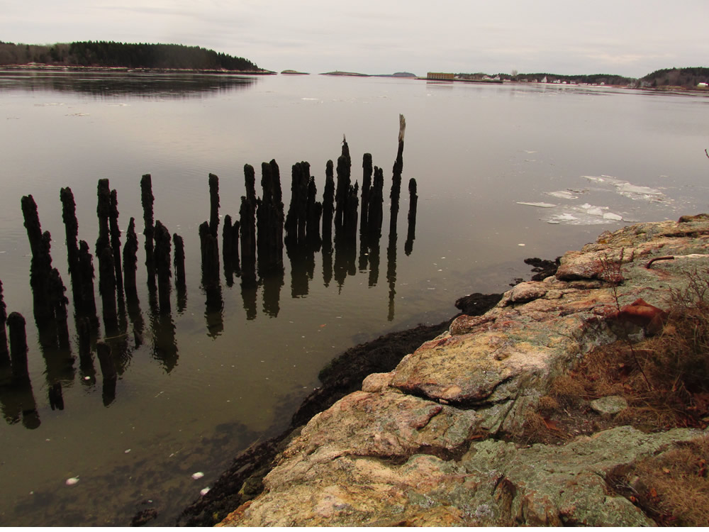 The old dock, Wilbur Preserve