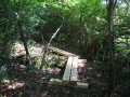 Re-route with Bridging, McDonald Preserve