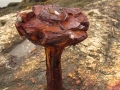 Rusted Tie-down, Wilbur Preserve