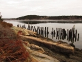 The Old Dock 2, Wilbur Preserve