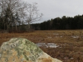 The marsh at Hook Rock Preserve