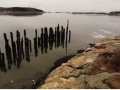The old dock, Wilbur Preserve