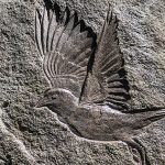 Petroglyph_MatingRitual_Sudeith